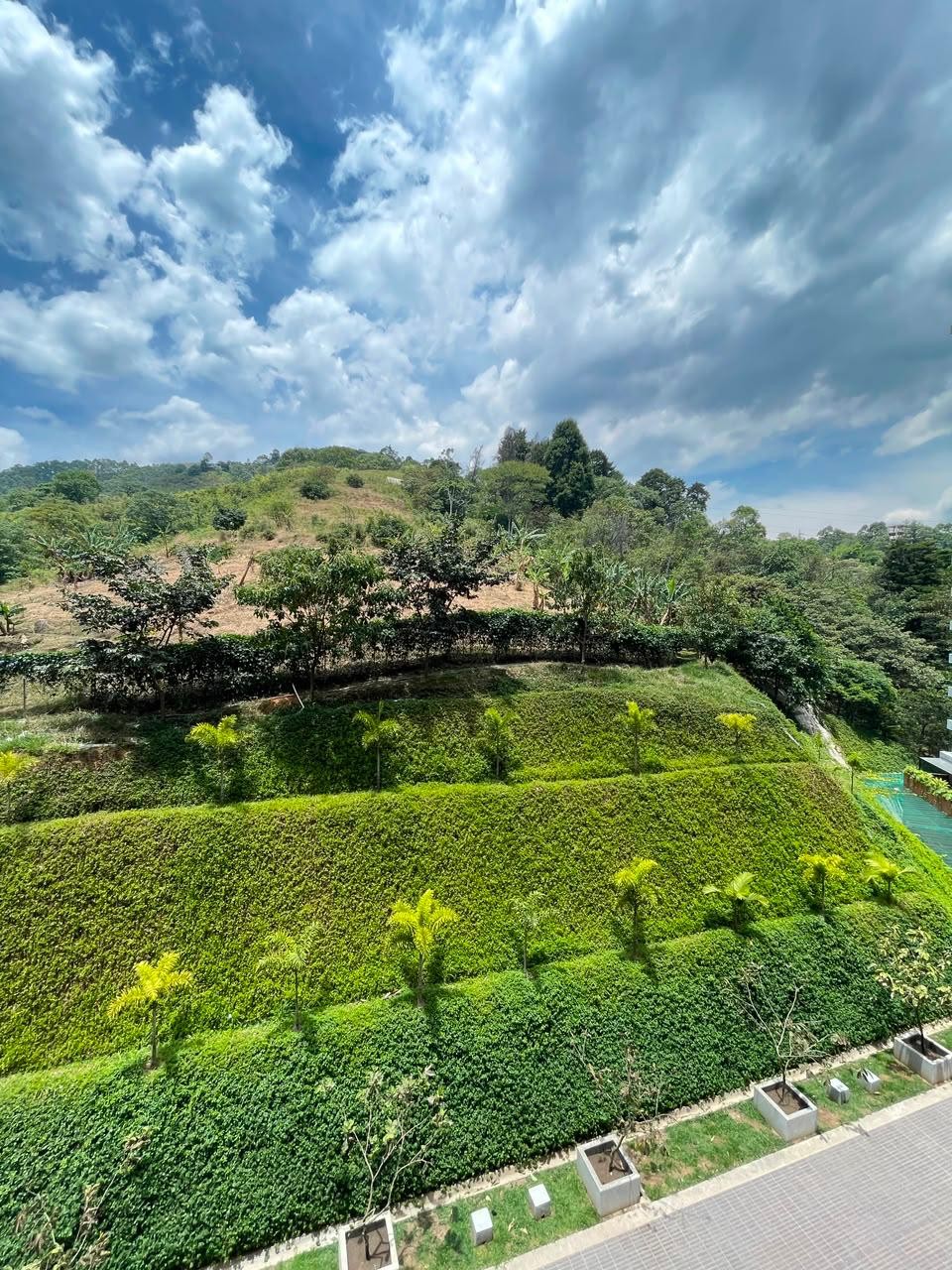 Apartamento en venta en Camino Verde, Envigado · foto 9 de 18