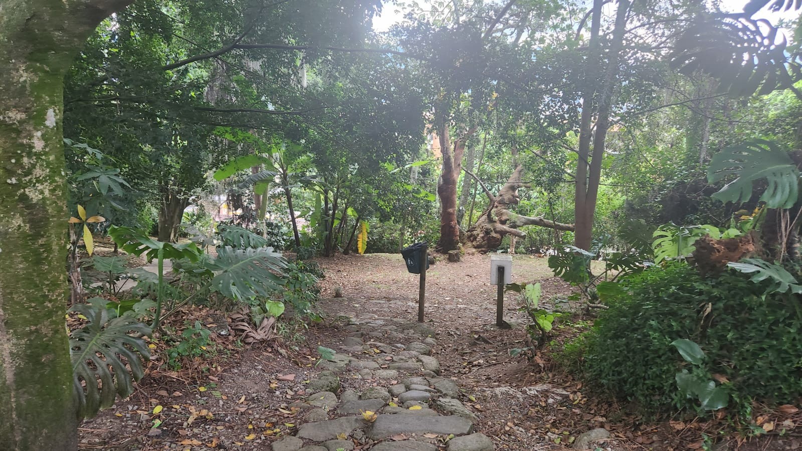 Apartamento en venta en Escobero, Envigado · foto 4 de 6
