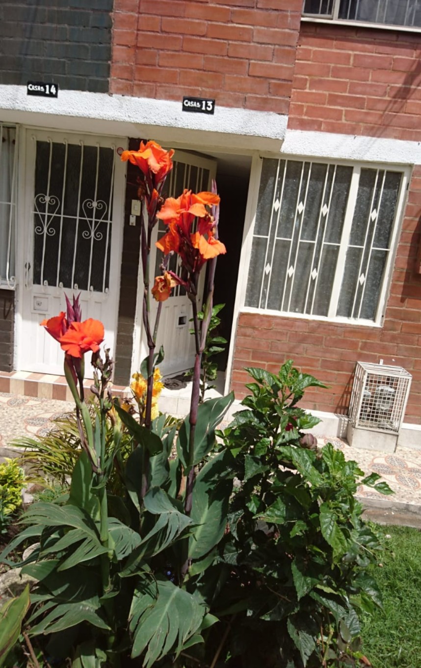 Casa en venta en Nueva Tibabuyes, Bogotá · foto 13 de 13