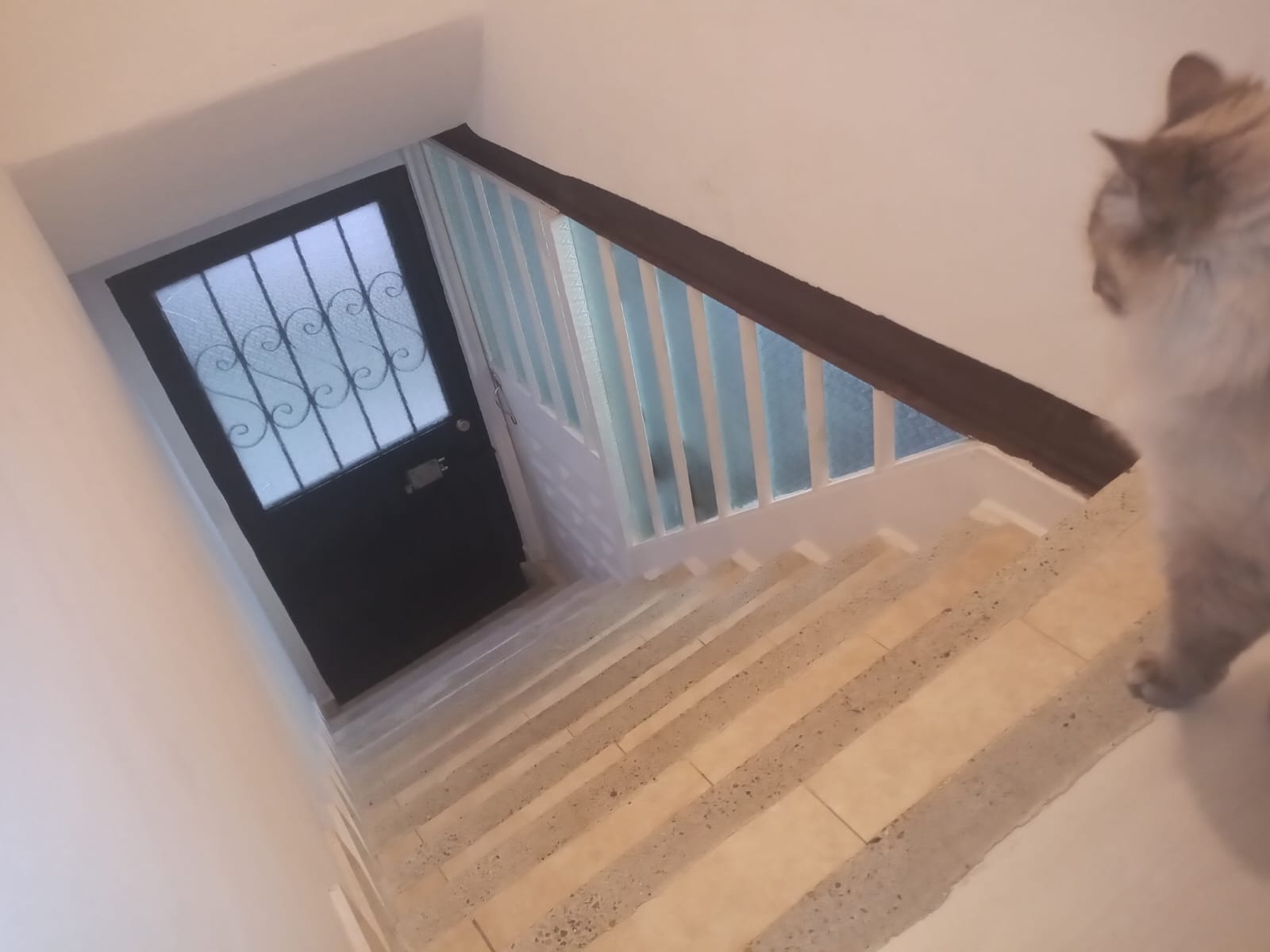 Casa en venta en Las Guacamayas, Bogotá · foto 4 de 7