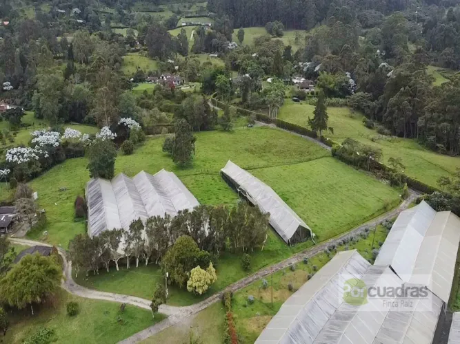 Lote en venta en Guayabito, Rionegro, 52400 m² · foto 2 de 10
