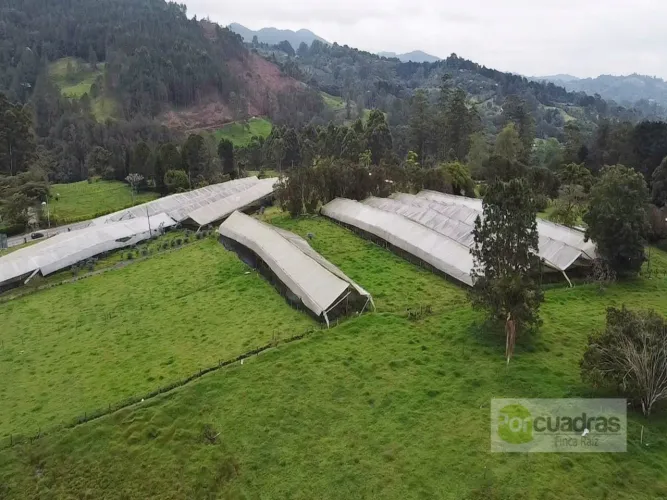 Lote en venta en Guayabito, Rionegro, 52400 m² · foto 3 de 10