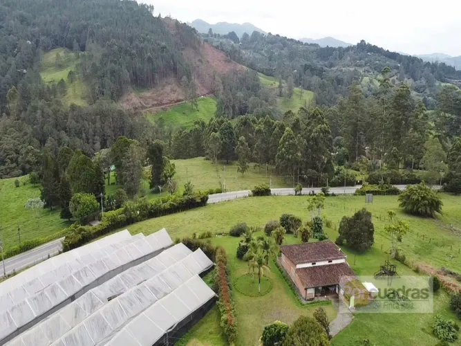 Lote en venta en Guayabito, Rionegro, 52400 m² · foto 6 de 10