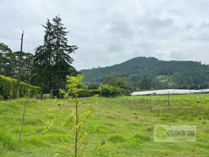 Lote en venta en Guayabito, Rionegro, 52400 m² · foto 8 de 10