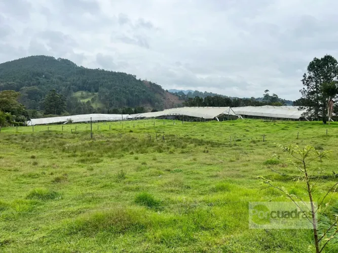 Lote en venta en Guayabito, Rionegro, 52400 m² · foto 9 de 10