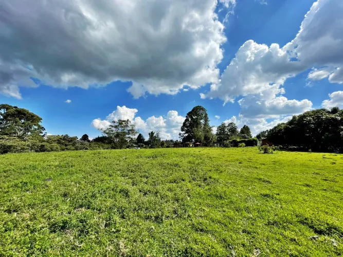 Finca en arriendo en El Porvenir, Rionegro, 26200 m² · foto 17 de 24