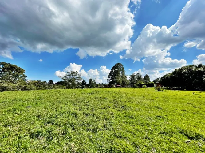 Finca en arriendo en El Porvenir, Rionegro, 26200 m² · foto 22 de 24