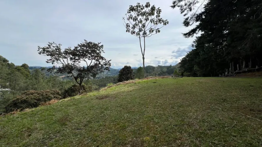 Lote en venta en Tablacito, Rionegro, 5000 m² · foto 2 de 15