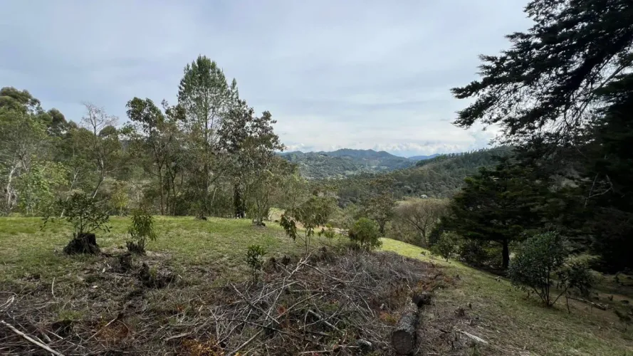 Lote en venta en Tablacito, Rionegro, 5000 m² · foto 4 de 15