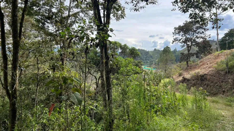 Lote en venta en Tablacito, Rionegro, 5000 m² · foto 5 de 15