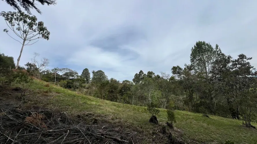 Lote en venta en Tablacito, Rionegro, 5000 m² · foto 11 de 15