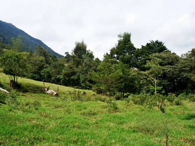 Lote en venta en Lomitas, La Ceja, 5000 m² · foto 2 de 8