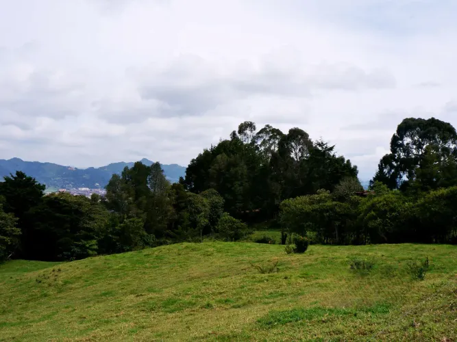Lote en venta en Lomitas, La Ceja, 5000 m² · foto 3 de 8