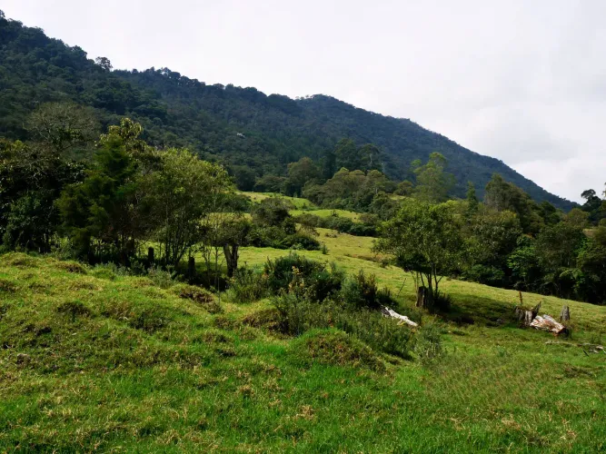 Lote en venta en Lomitas, La Ceja, 5000 m² · foto 4 de 8