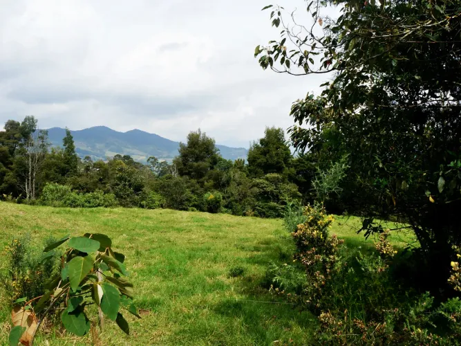 Lote en venta en Lomitas, La Ceja, 5000 m² · foto 6 de 8