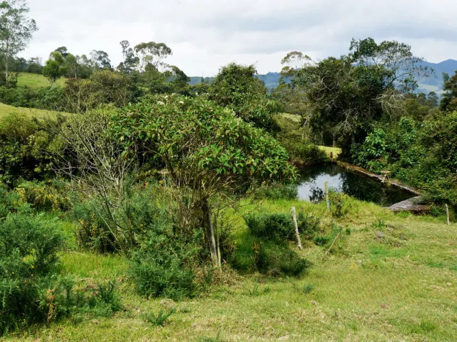 Lote en venta en Lomitas, La Ceja, 5000 m² · foto 7 de 8