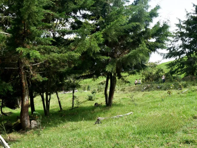 Lote en venta en Lomitas, La Ceja, 5000 m² · foto 8 de 8