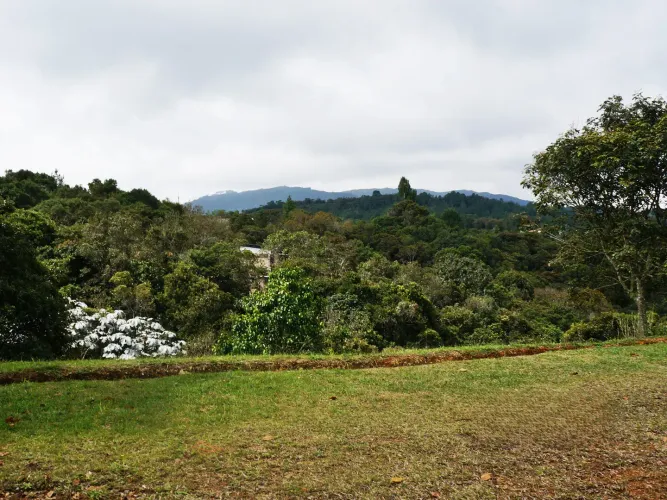 Lote en venta en Santa Elena, El Retiro, 8564 m² · foto 6 de 12