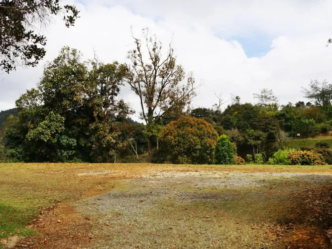 Lote en venta en Santa Elena, El Retiro, 8564 m² · foto 8 de 12