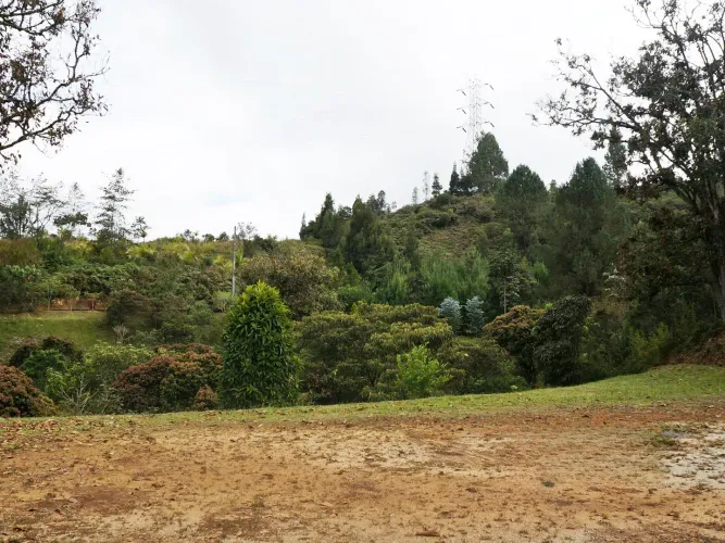 Lote en venta en Santa Elena, El Retiro, 8564 m² · foto 9 de 12