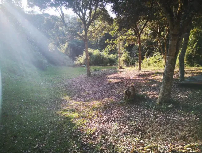 Lote en venta en Santa Elena, El Retiro, 8564 m² · foto 12 de 12
