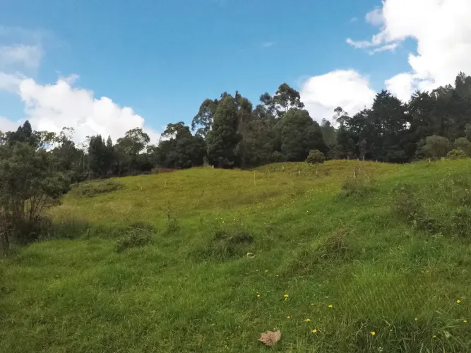 Lote en venta en Vía Las Palmas, Envigado, 8300 m² · foto 5 de 7