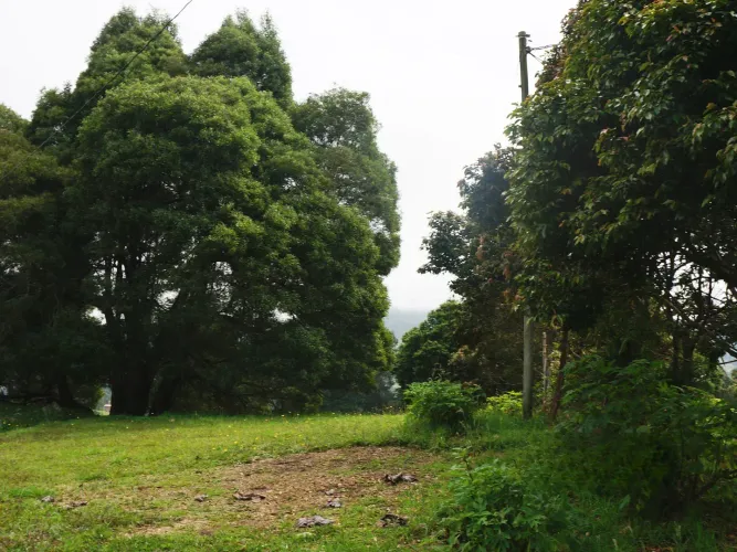 Lote en venta en Vía Las Palmas, Envigado, 8300 m² · foto 7 de 7