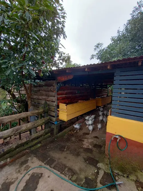 Finca en venta en Guarne, 8250 m² · foto 23 de 24
