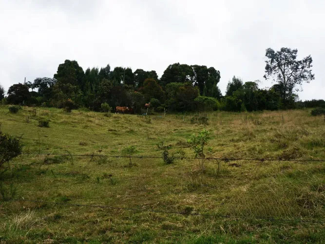 Lote en venta en Vía Las Palmas, Envigado, 8860 m² · foto 6 de 7