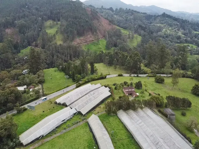 Lote en venta en Guayabito, Rionegro, 41000 m² · foto 5 de 10