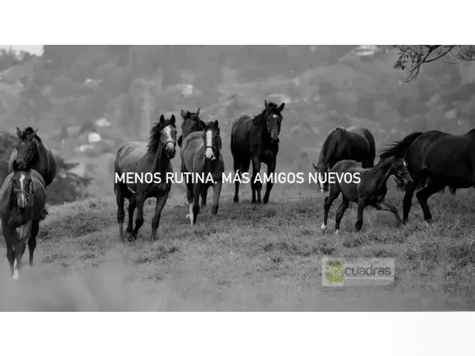 Lote en venta en Cabeceras De Llanogrande, Rionegro, 2269 m² · foto 11 de 12