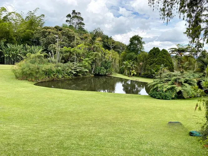 Finca en venta en Los Salados, El Retiro, 10000 m² · foto 9 de 16