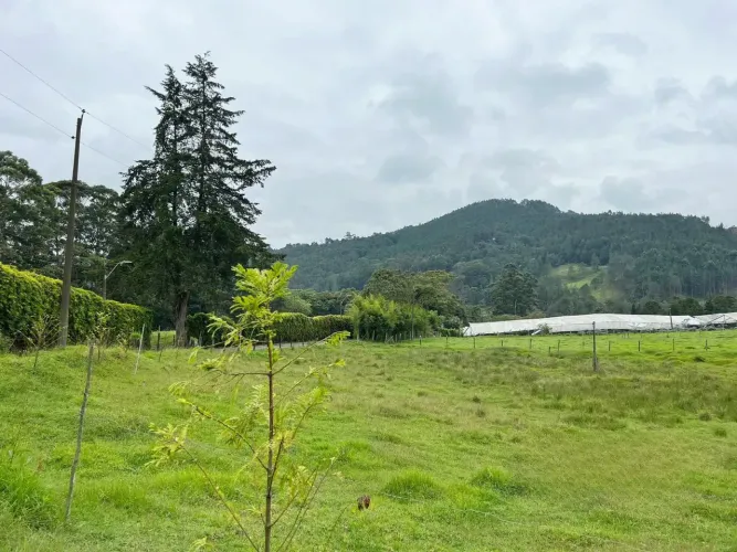 Lote en venta en Guayabito, Rionegro, 41000 m² · foto 10 de 10