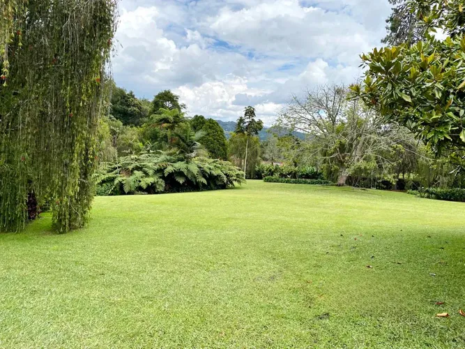Finca en venta en Los Salados, El Retiro, 10000 m² · foto 10 de 16