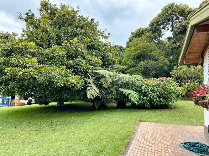 Finca en venta en Los Salados, El Retiro, 10000 m² · foto 14 de 16