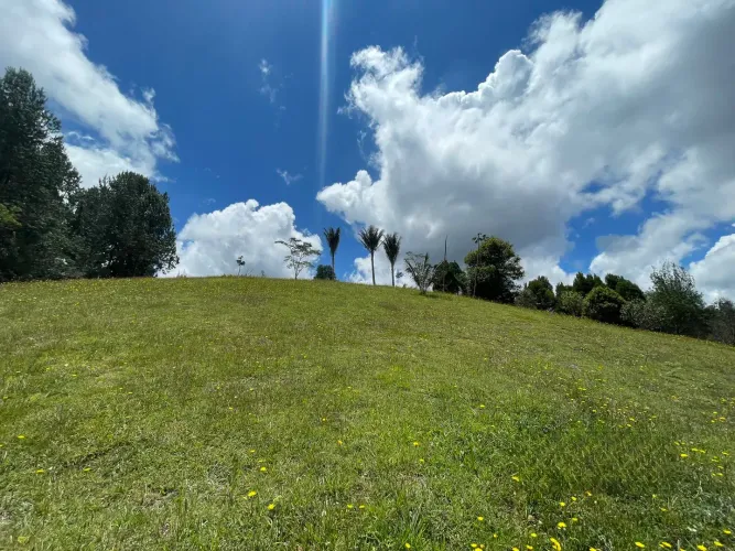 Lote en venta en Las Palmas, Envigado, 5750 m² · foto 3 de 7