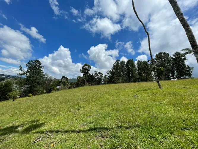 Lote en venta en Las Palmas, Envigado, 5750 m² · foto 5 de 7