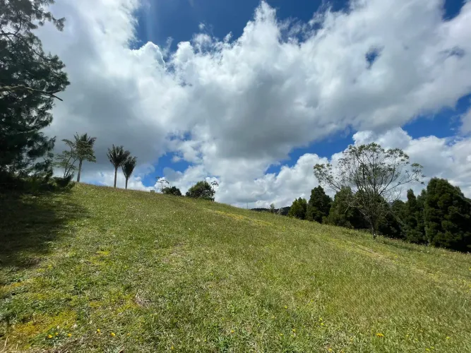 Lote en venta en Las Palmas, Envigado, 5750 m² · foto 7 de 7