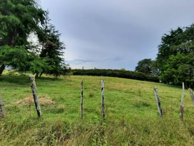 Lote en venta en Llano Grande, Rionegro · foto 8 de 11
