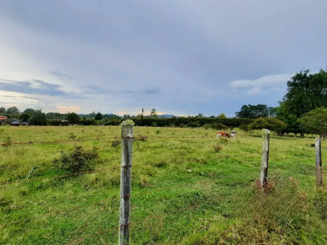 Lote en venta en Llano Grande, Rionegro · foto 9 de 11