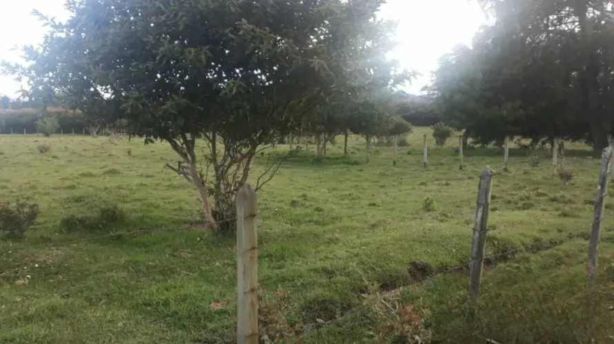 Lote en venta en Llano Grande, Rionegro · foto 11 de 11