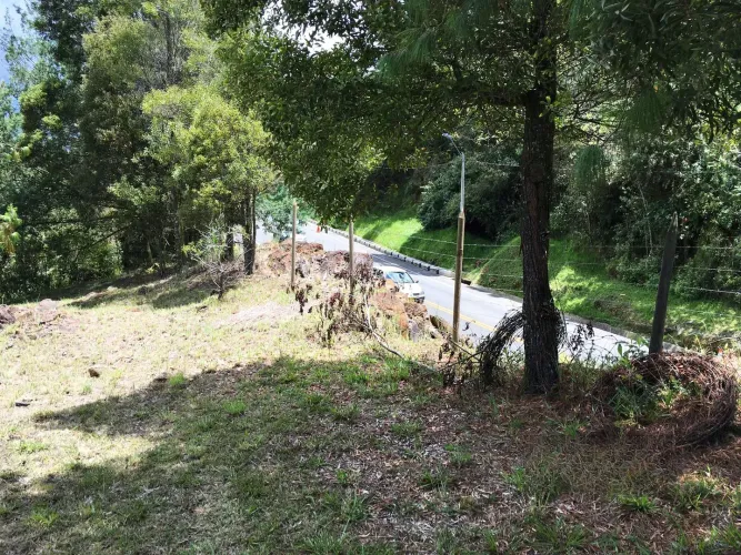 Lote en venta en Las Palmas, Envigado, 12000 m² · foto 4 de 10