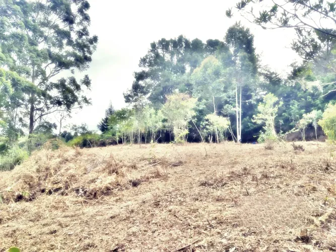 Lote en venta en Belen, Marinilla, 9258 m² · foto 12 de 12