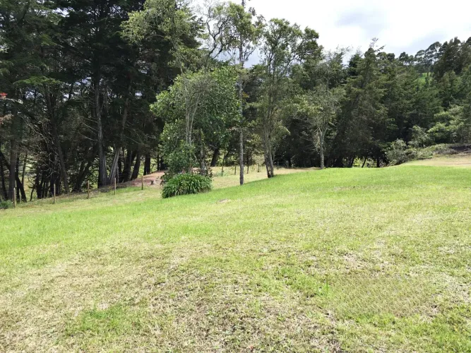 Lote en venta en Las Palmas, Envigado, 12000 m² · foto 6 de 10