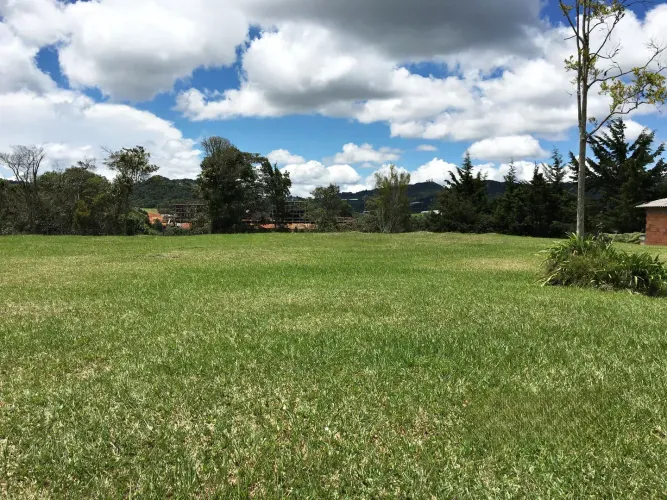 Lote en venta en Las Palmas, Envigado, 12000 m² · foto 7 de 10
