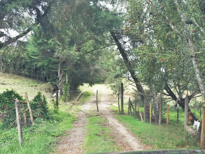 Lote en venta en La Mina, Envigado, 11300 m² · foto 5 de 19