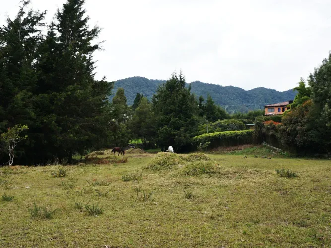 Lote en venta en La Mina, Envigado, 11300 m² · foto 10 de 19