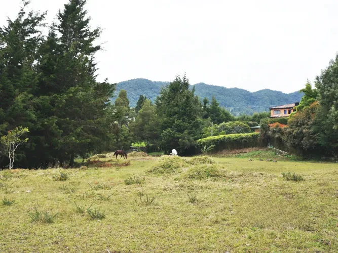 Lote en venta en La Mina, Envigado, 11300 m² · foto 18 de 19