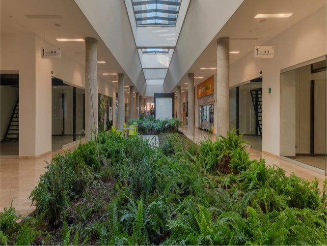 Consultorio en arriendo en El Faro, Rionegro, 31 m² · foto 3 de 11