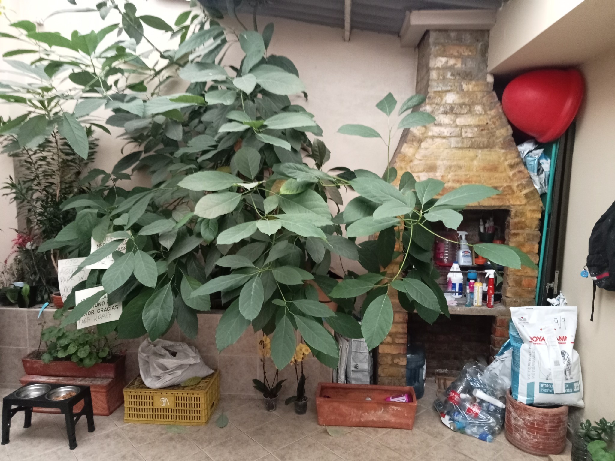 Casa en venta en Engativá, Bogotá · foto 18 de 24